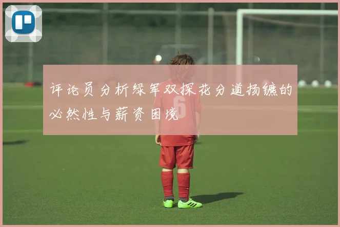 评论员分析绿军双探花分道扬镳的必然性与薪资困境
