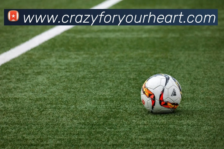 体育直播服务